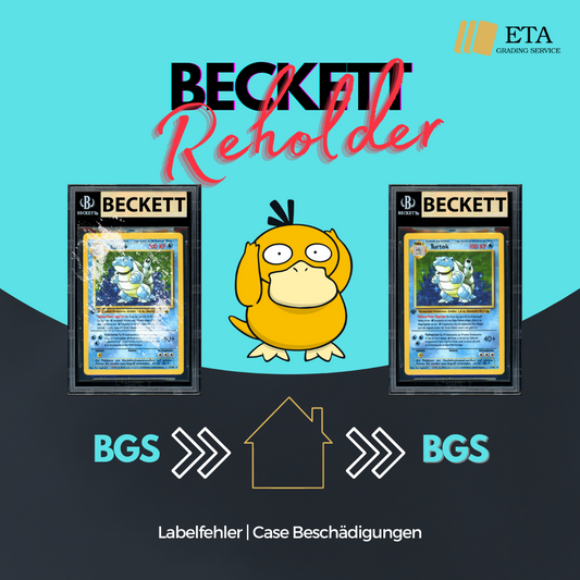 BGS Reholder Standard Service